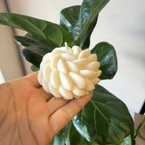 vela pilastro (copia)