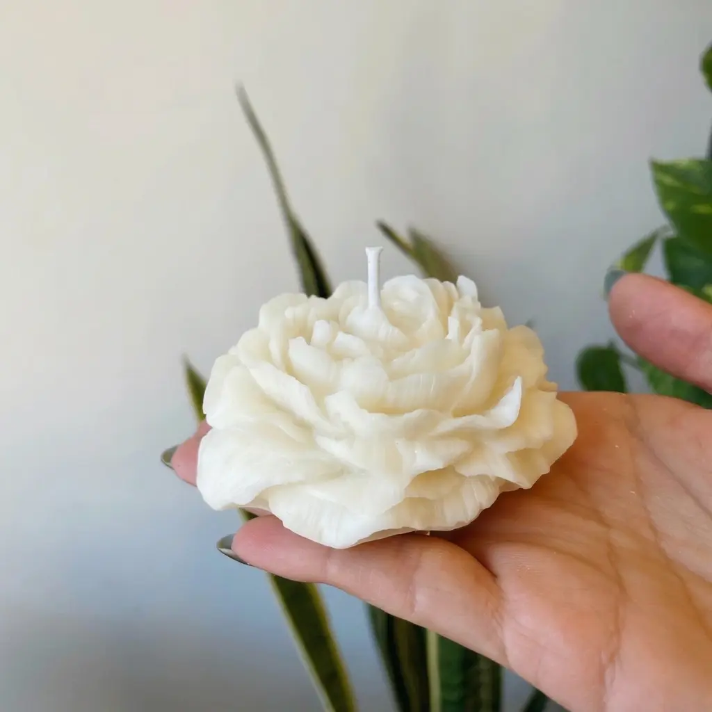 Vela Peonia